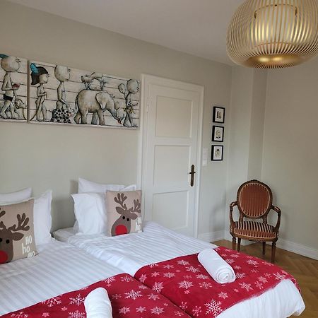 Le Cocon D'Emma, Appartement Bourgeois Avec Terrasse, Et Parking Gratuit Dans Maison De Maitre Straßburg Exterior foto