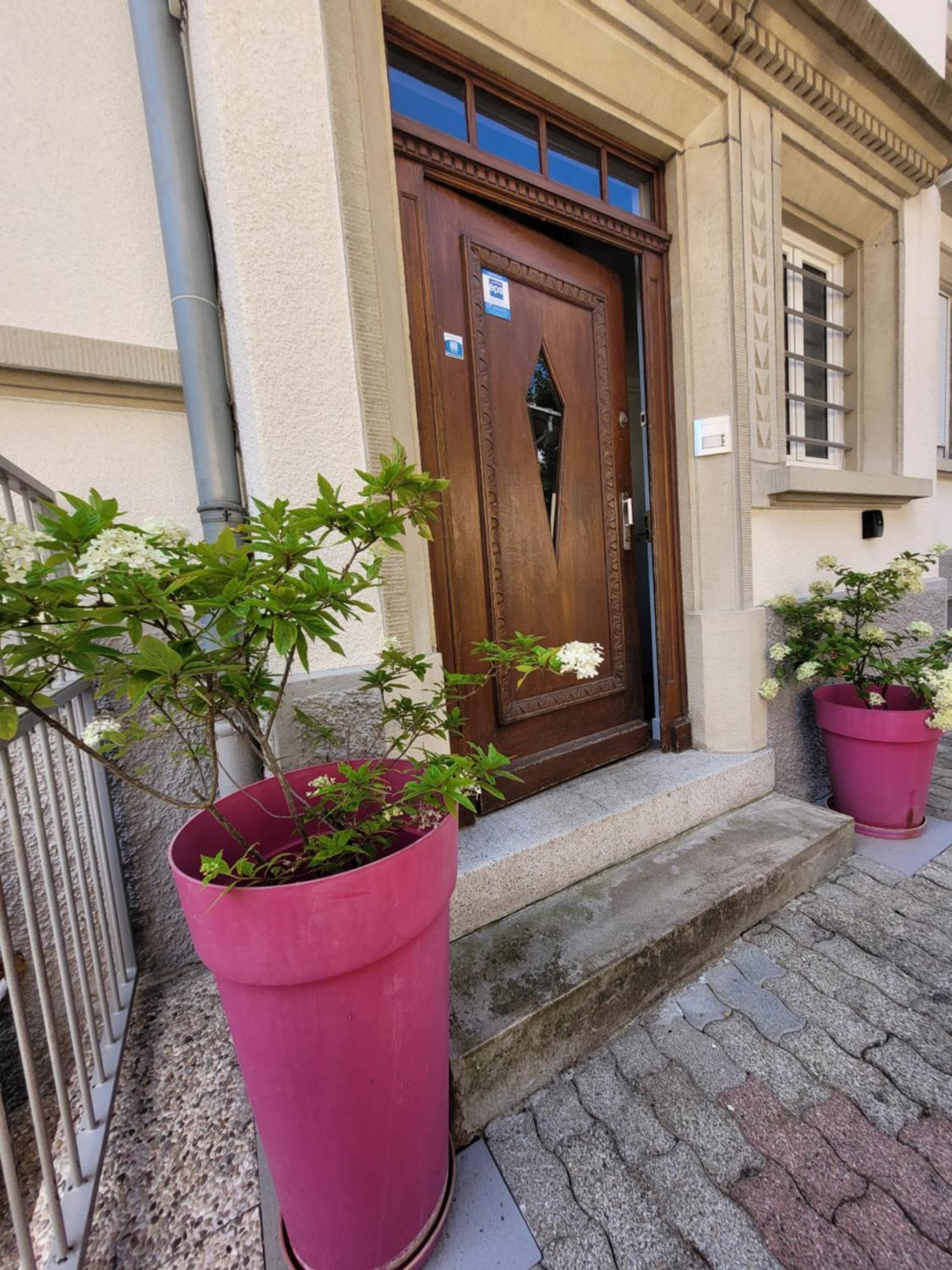 Le Cocon D'Emma, Appartement Bourgeois Avec Terrasse, Et Parking Gratuit Dans Maison De Maitre Straßburg Exterior foto